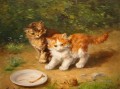 Gattini con lumaca Alfred Brunel de Neuville kitten